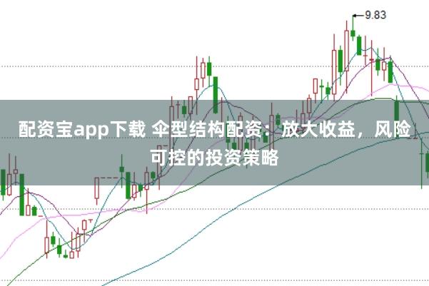 配资宝app下载 伞型结构配资：放大收益，风险可控的投资策略