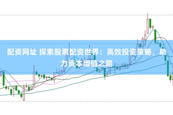 配资网址 探索股票配资世界：高效投资策略，助力资本增值之路