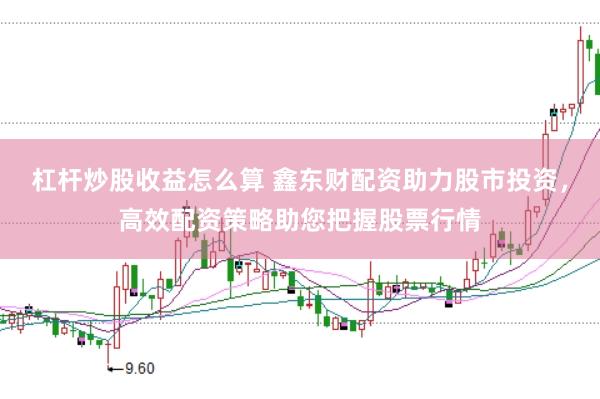 杠杆炒股收益怎么算 鑫东财配资助力股市投资，高效配资策略助您把握股票行情