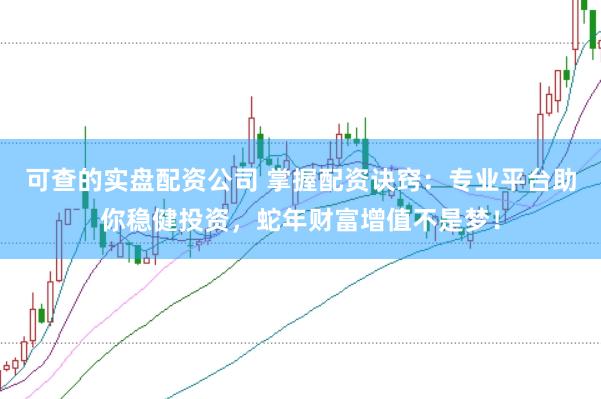 可查的实盘配资公司 掌握配资诀窍：专业平台助你稳健投资，蛇年财富增值不是梦！