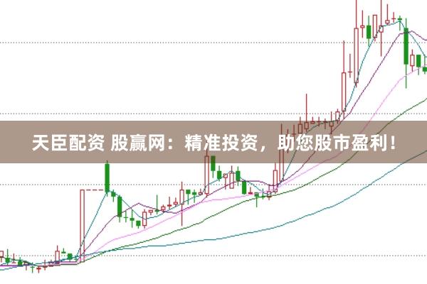 天臣配资 股赢网：精准投资，助您股市盈利！