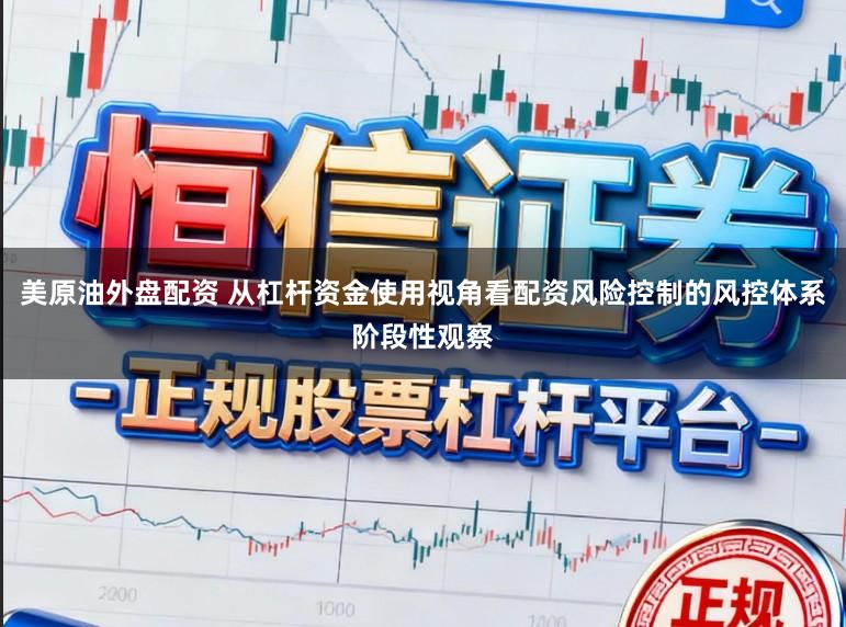 美原油外盘配资 从杠杆资金使用视角看配资风险控制的风控体系阶段性观察